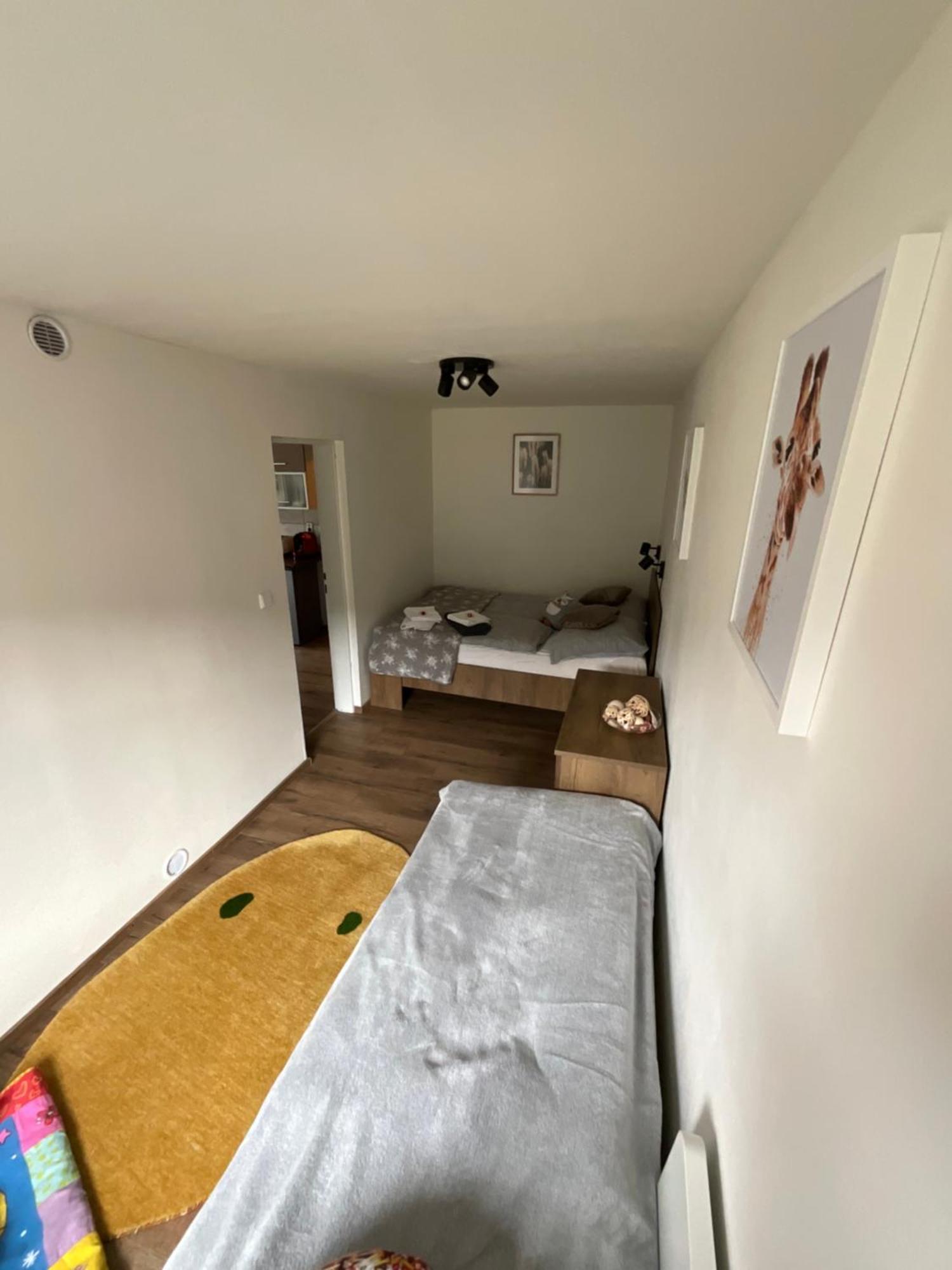 Apartment Owl Kořenov Eksteriør bilde